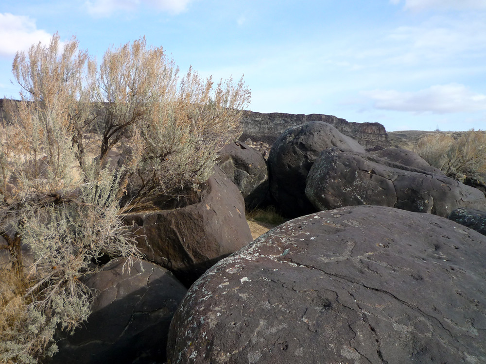 Sagebrush and Petroglyphs Sagebrush grows up between the m… Flickr