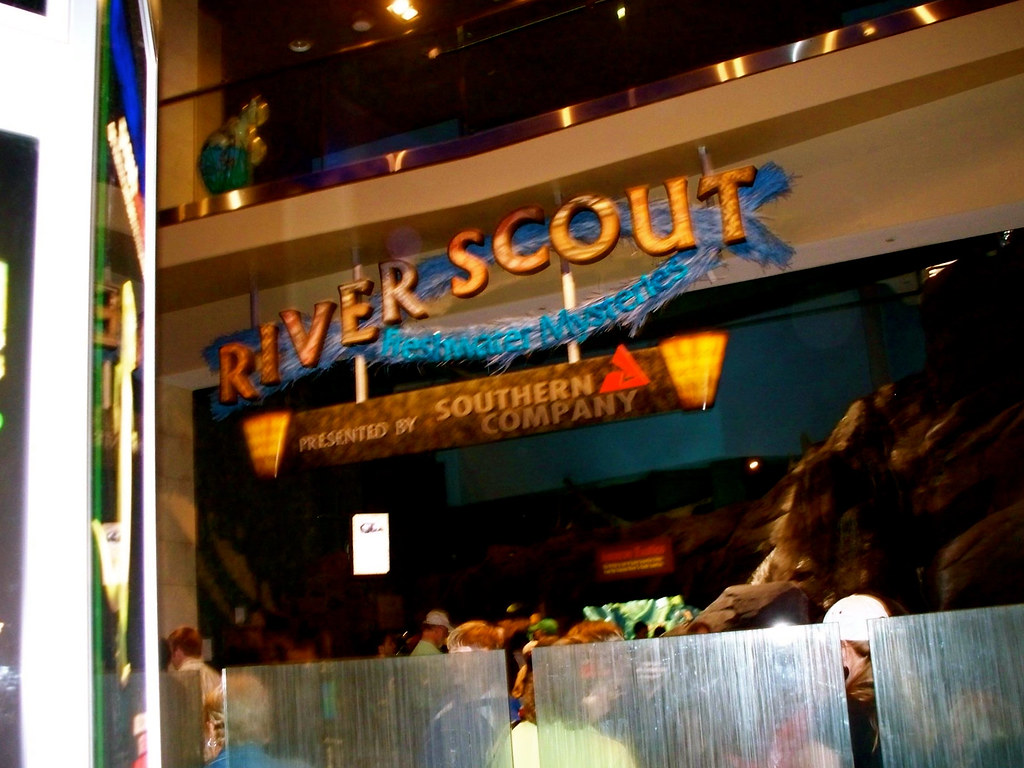 Aquarium 225 Baker St NW Atlanta, Ga April 13, 200… Flickr