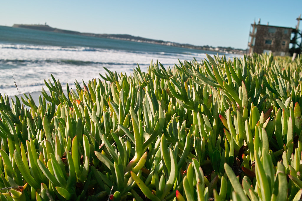 Half moon bay kei51 Flickr