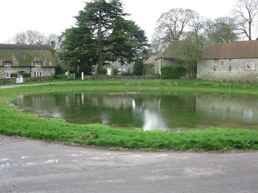 Ashmore Pond Work on the renovation of Ashmore Pond in Dor… Flickr