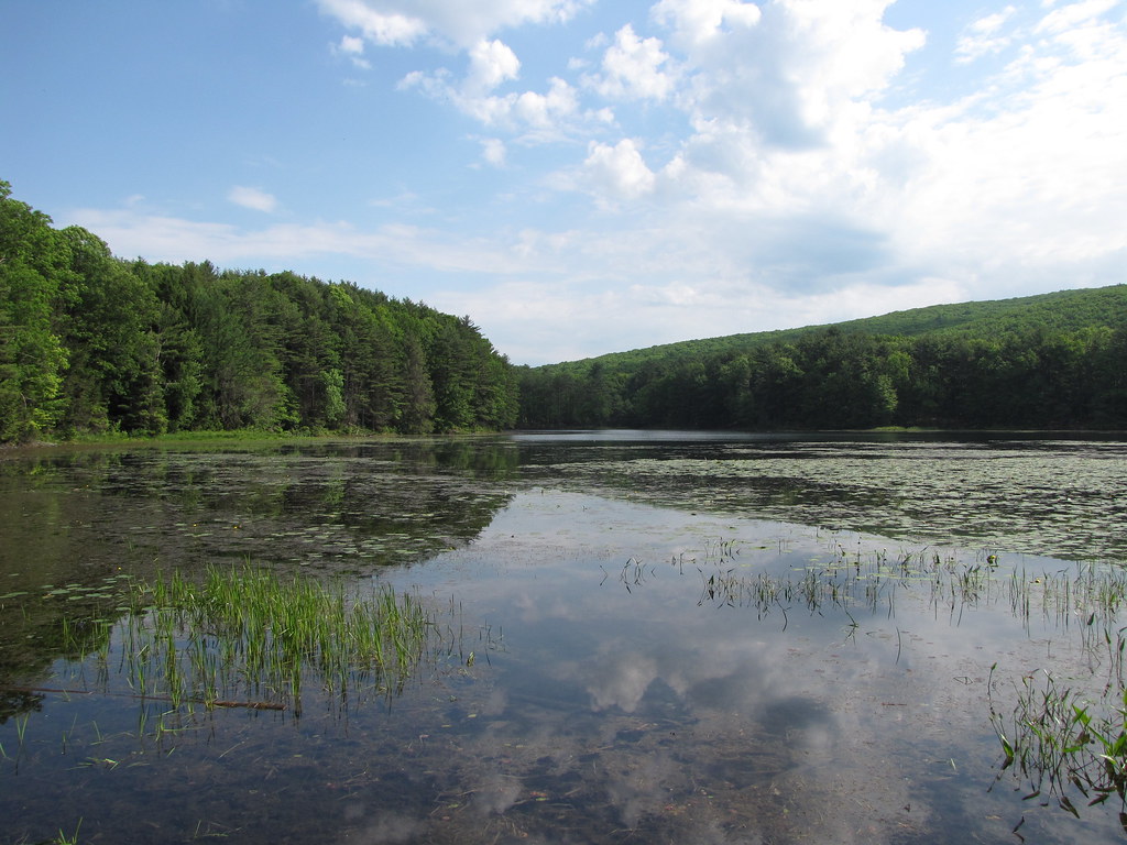 Cranberry Pond, Massachusetts The Cranberry Pond is a wond… Flickr