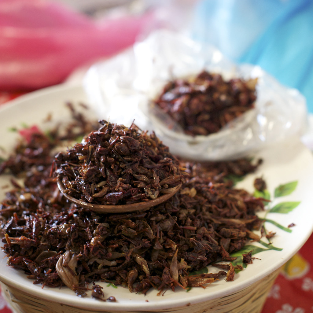 Fried Crickets At a local food market Oaxaca, Mexico. Jason