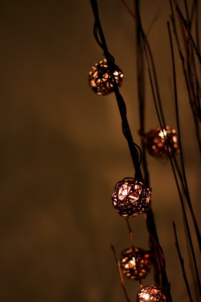 Reed Lights (34/365) Here's a pic of some reed lights, nic… Flickr