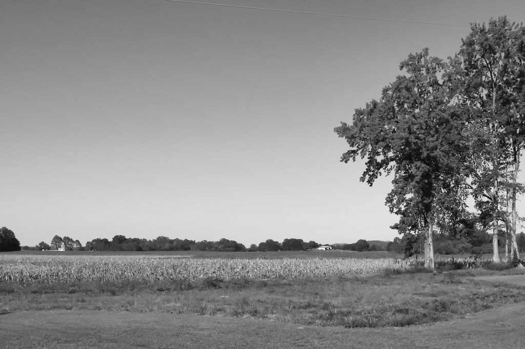Piedmont, Alabama A field near Piedmont, Alabama jwcjr Flickr