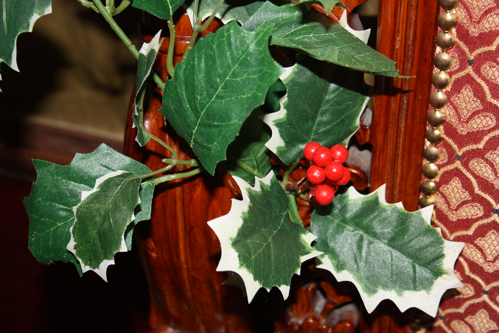 Morrisons Christmas Do, 04/12/11 Flickr