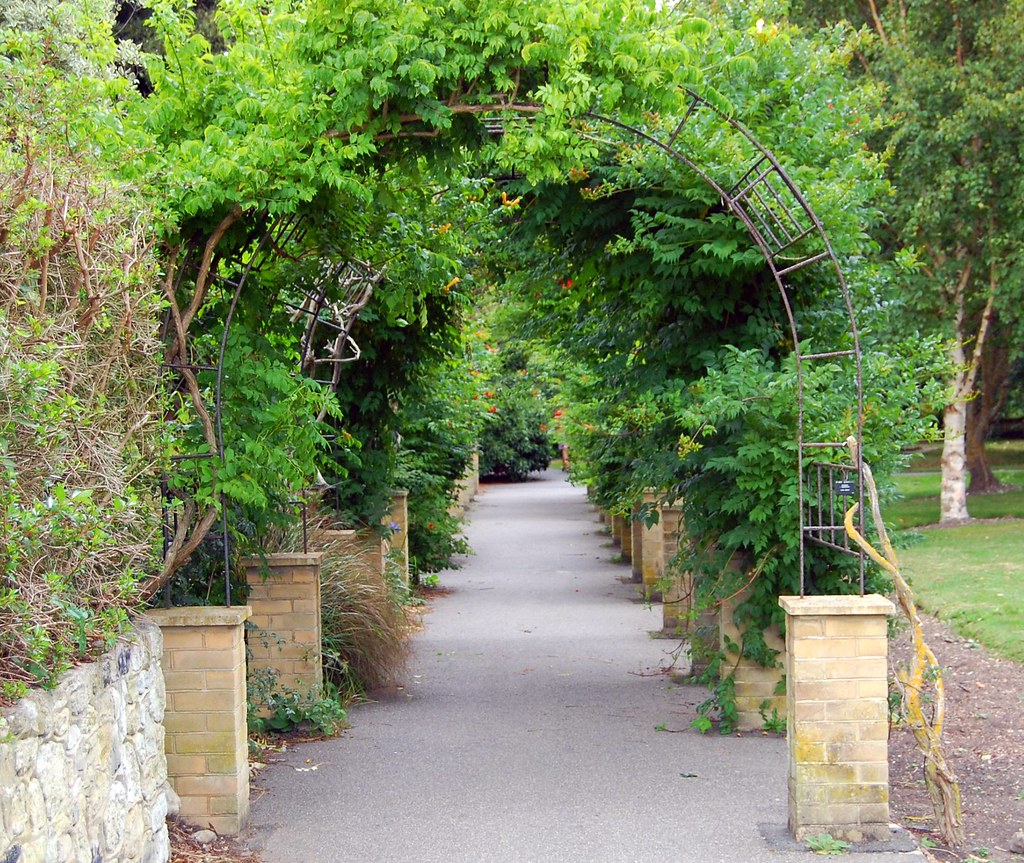 VENTNOR BOTANICAL GARDENS. IOW. Ventnor Botanic Garden is … Flickr