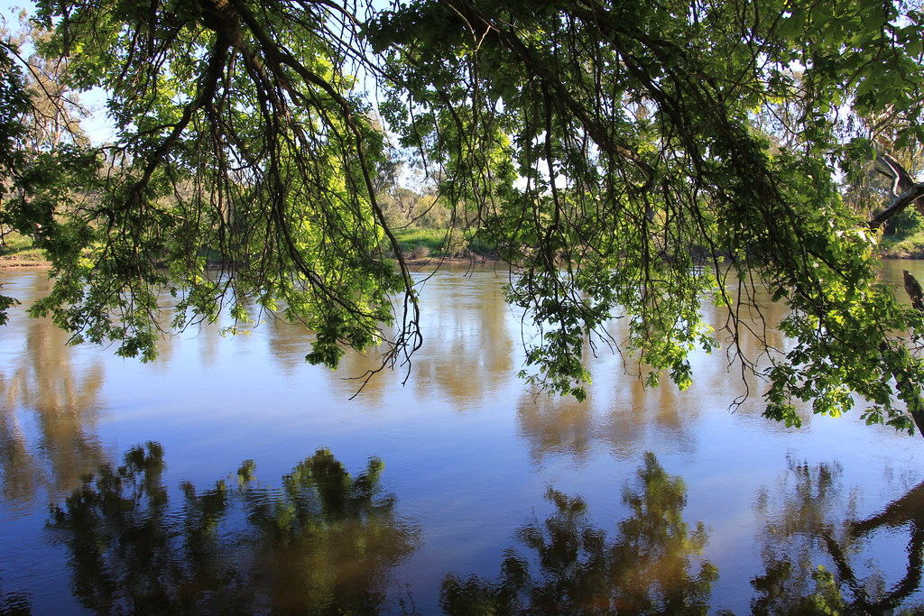 Murray River Blog article {Road trip in Australia} D'Albu… Flickr