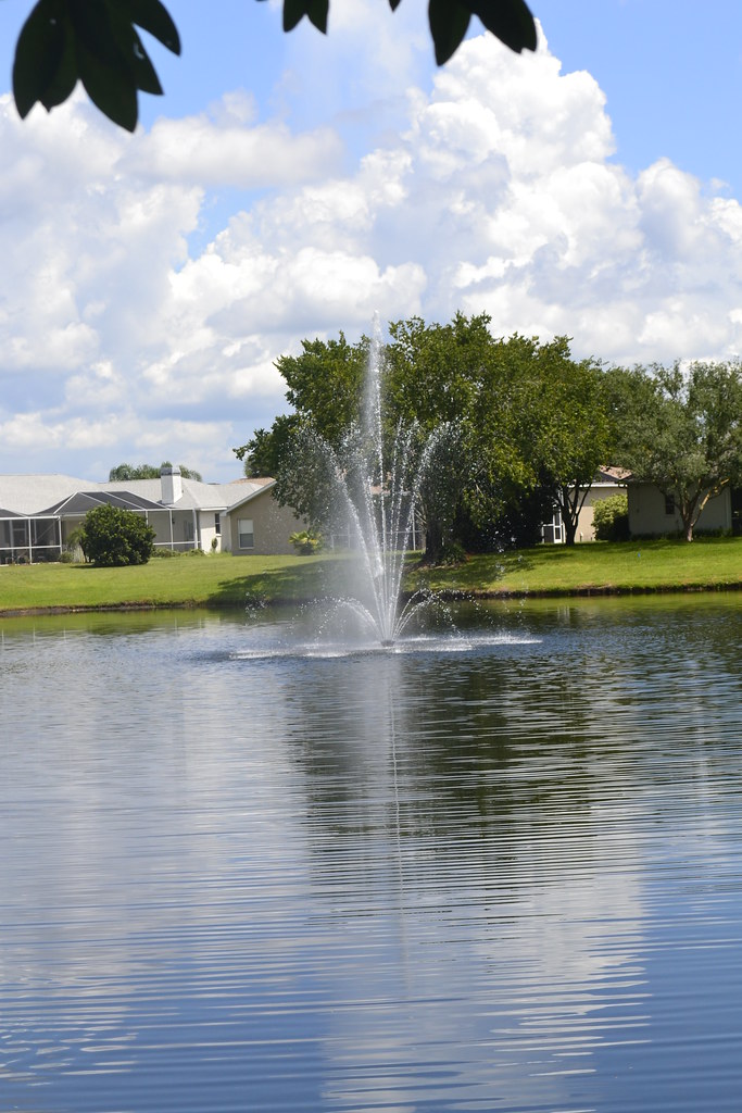 Land O' Lakes, FL North of Tampa Picnic at the Park wi… Flickr