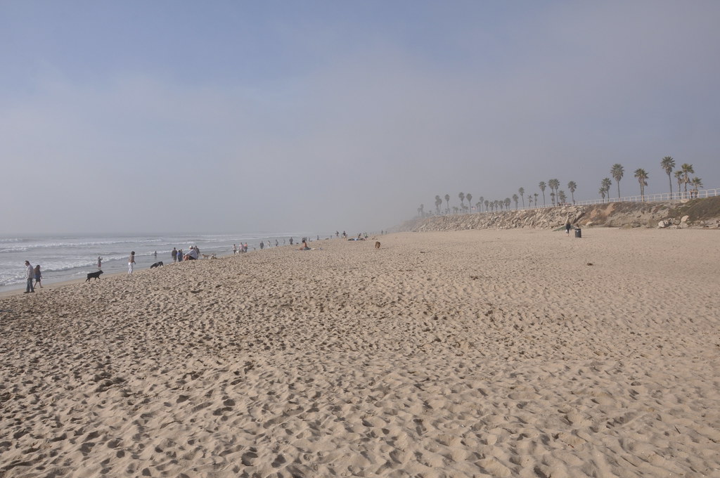 2011 12 31 Huntington Dog Beach Huntington Beach, CA 1… Flickr