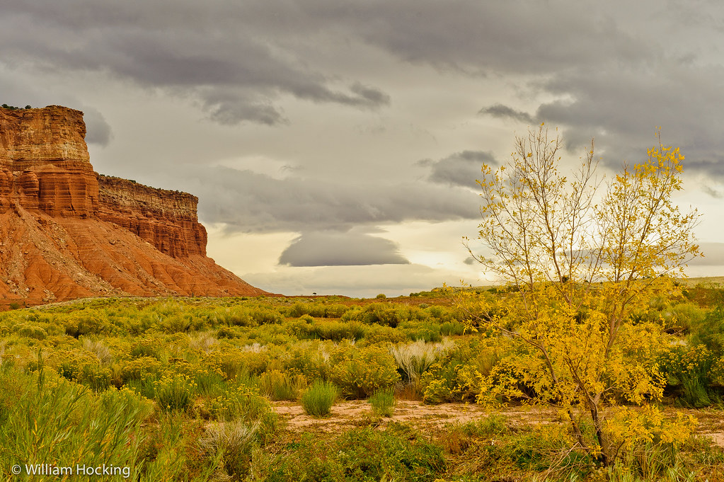 Teasdale, UT William Hocking Flickr