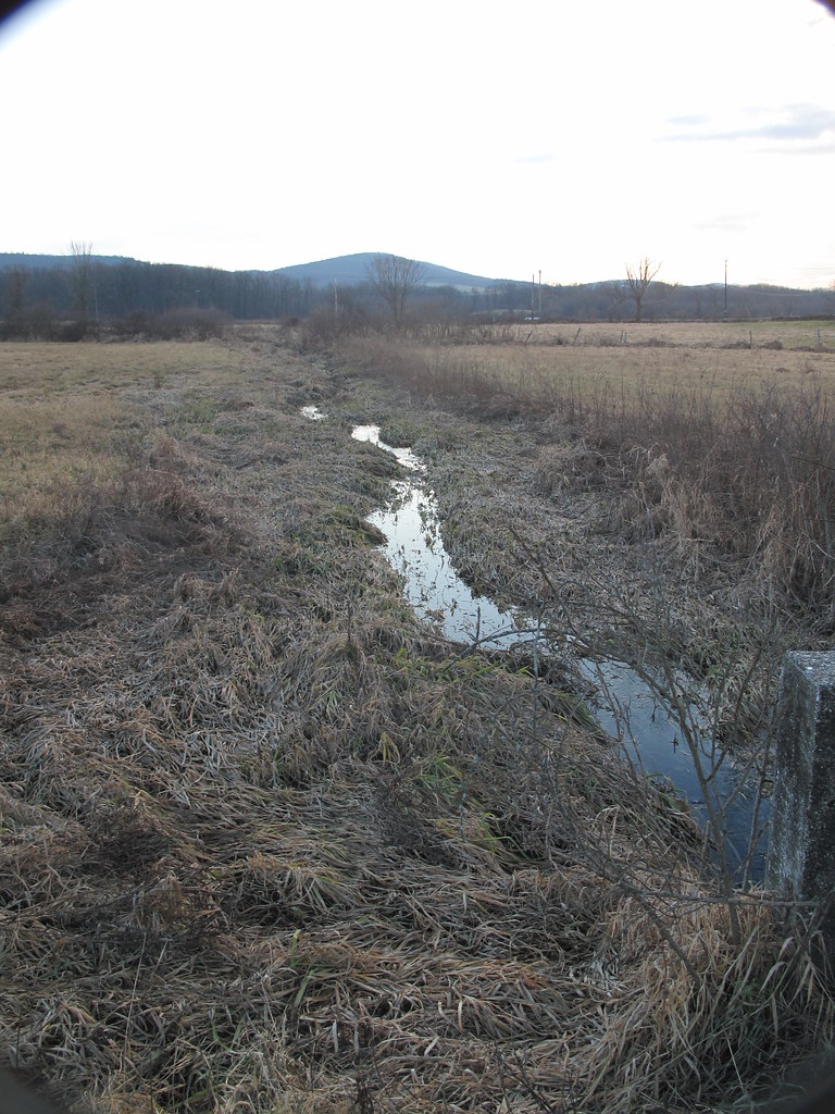IMG_6155 Along Lower Wisner Road in Warwick, NY. Luke H. Gordon