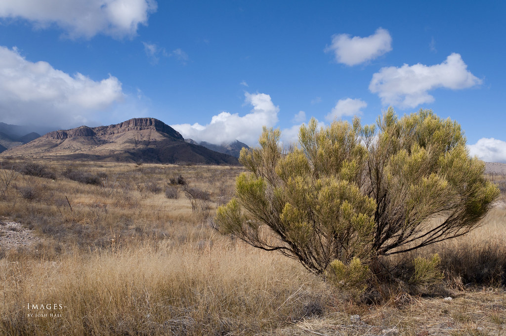 Whetstone Arizona Josh Hall Flickr