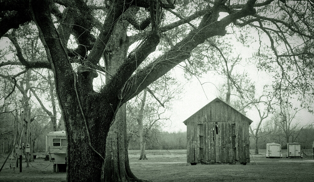 20530022 Bayou Road St Bernard Parish Alysha Jordan Flickr