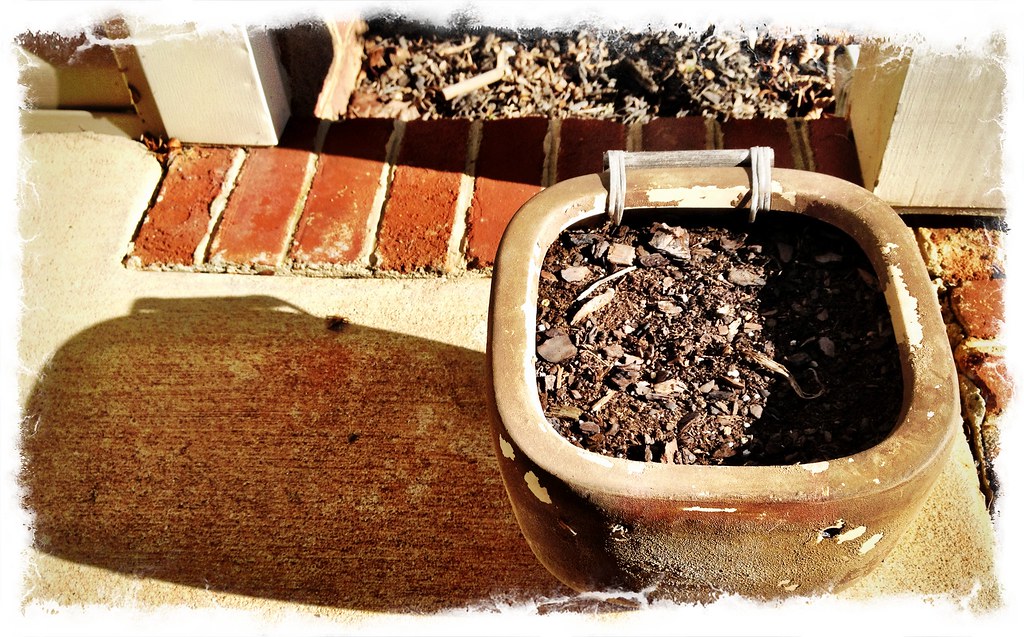 flower pot without any flowers harangue Flickr