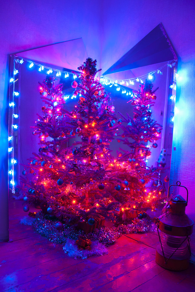 my christmas tree Xachiko Flickr