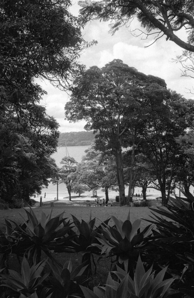 Wentworth House, Vaucluse Ilford Pan 100 Michael Wood Flickr