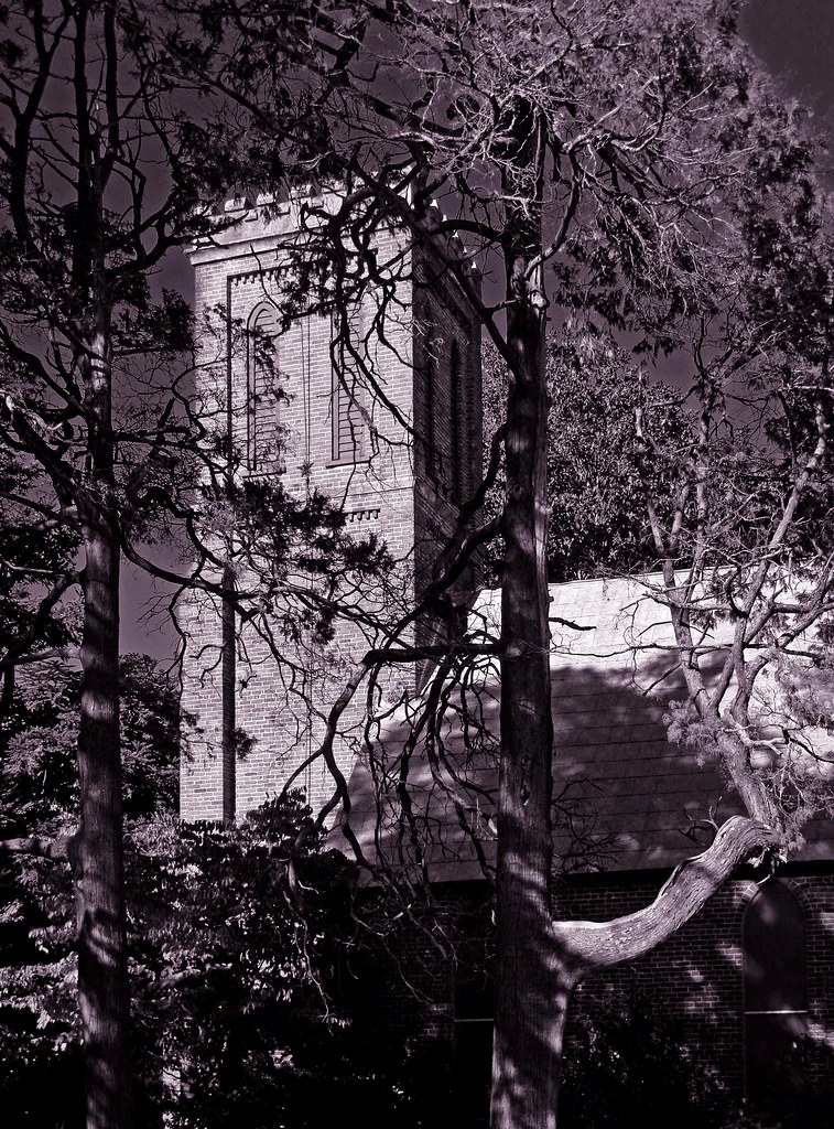 Trinity Episcopal Church, ca. 1854 Scotland Neck, NC Flickr