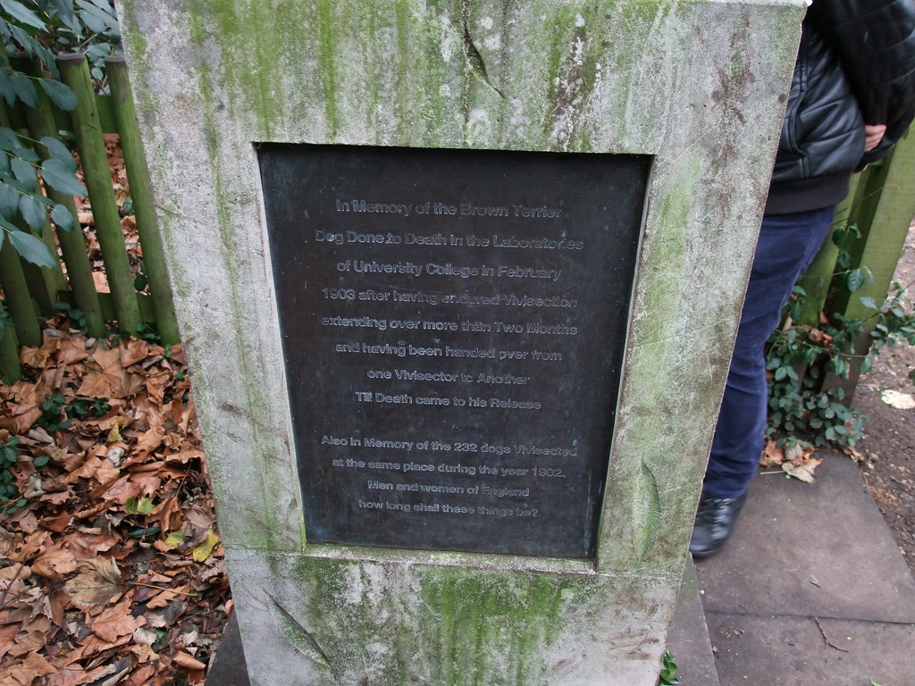 Plaque on Brown Dog Statue, Battersea Park Paul F 36 Flickr