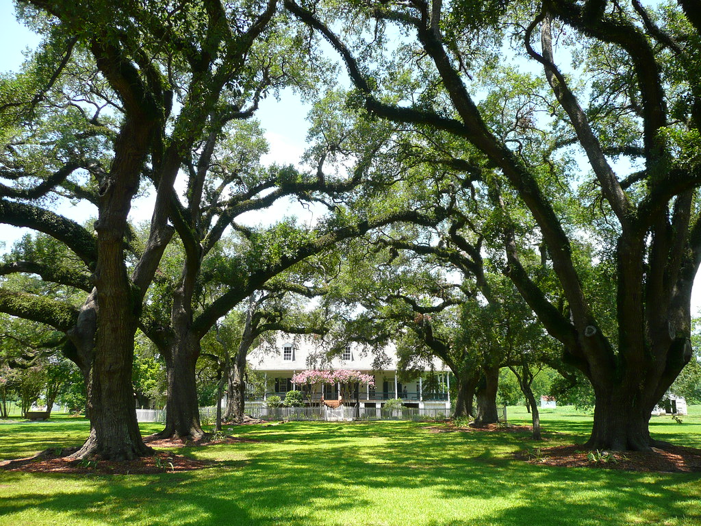 Natchez, LA Oakland Plantation Oakland Plantation was orig… Flickr