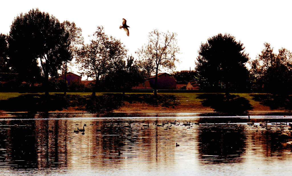 Warm Twin Lakes Recreation Park Shot taken at Twin Lakes Râ€¦ Flickr