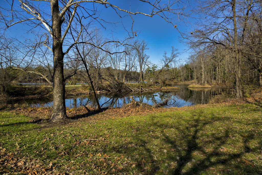 GreeneSullivan State Forest Ryan Schmidt Flickr