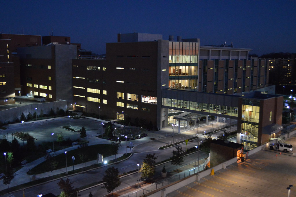 Lankenau Hospital Patient Portal