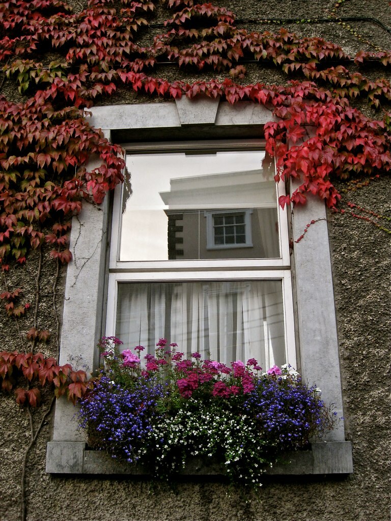 Kilkenny Reflection Kilkenny, Ireland smilla4 Flickr