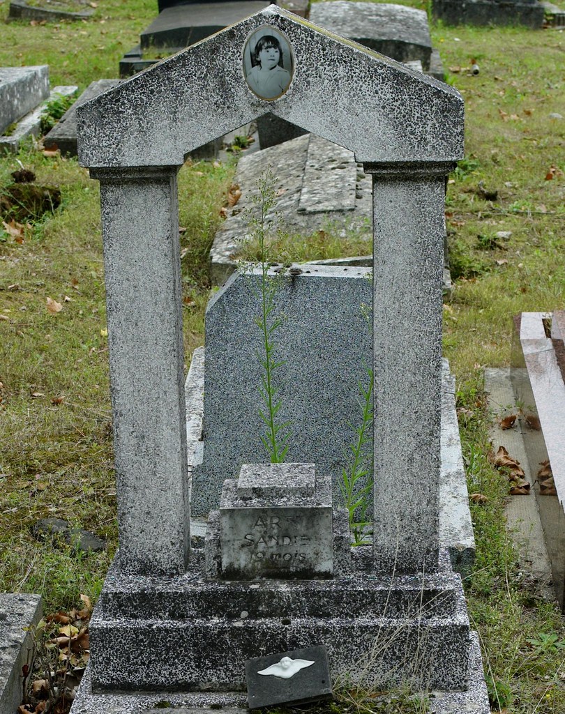 Cimetière parisien de Thiais Cimetière parisien de Thiais … Flickr