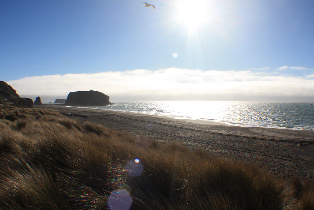 Northern CA Beach impm163 Flickr