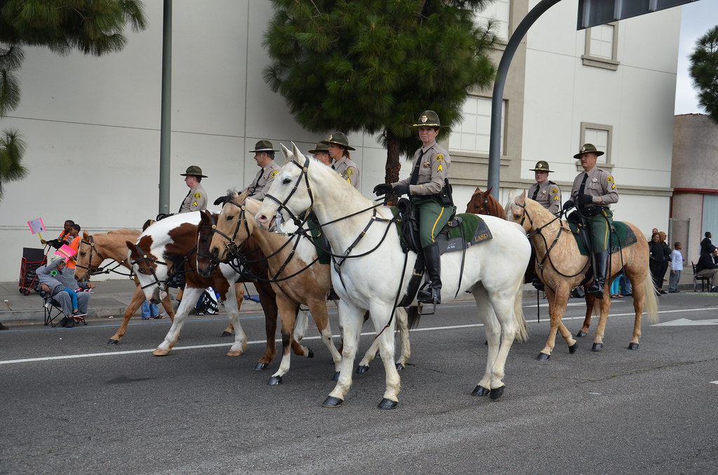 LOS ANGELES COUNTY SHERIFF DEPARTMENT (LASD) MOUNTED ENFOR… Flickr