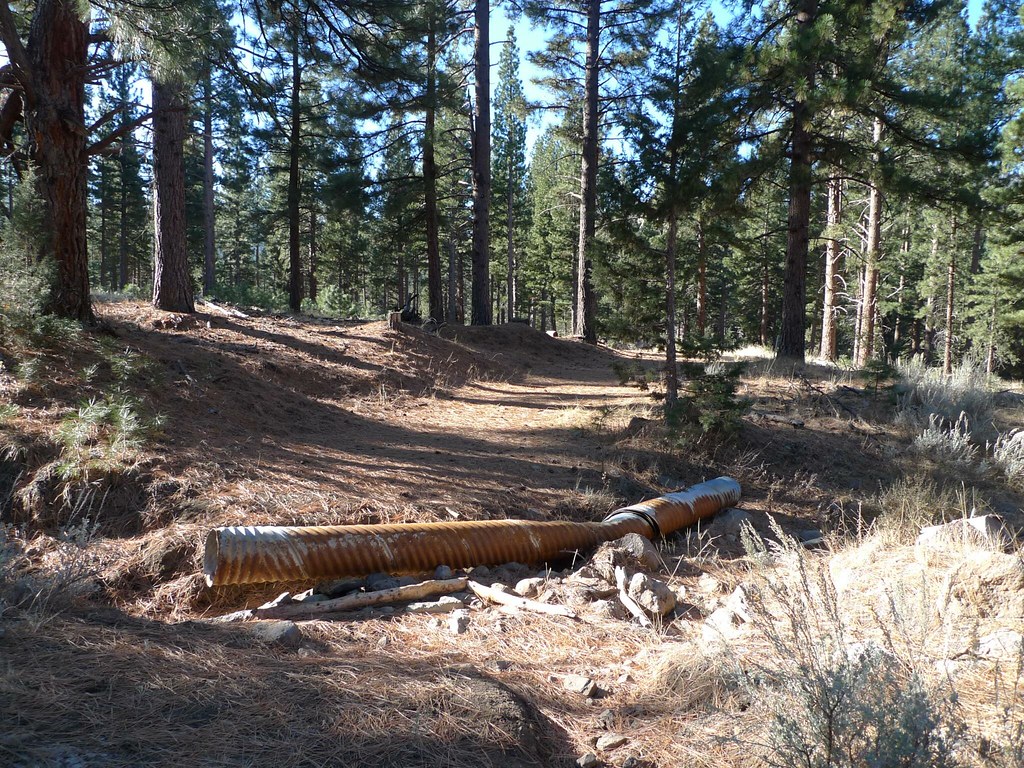 Land for Sale Loyalton, California Mark Hogan Flickr
