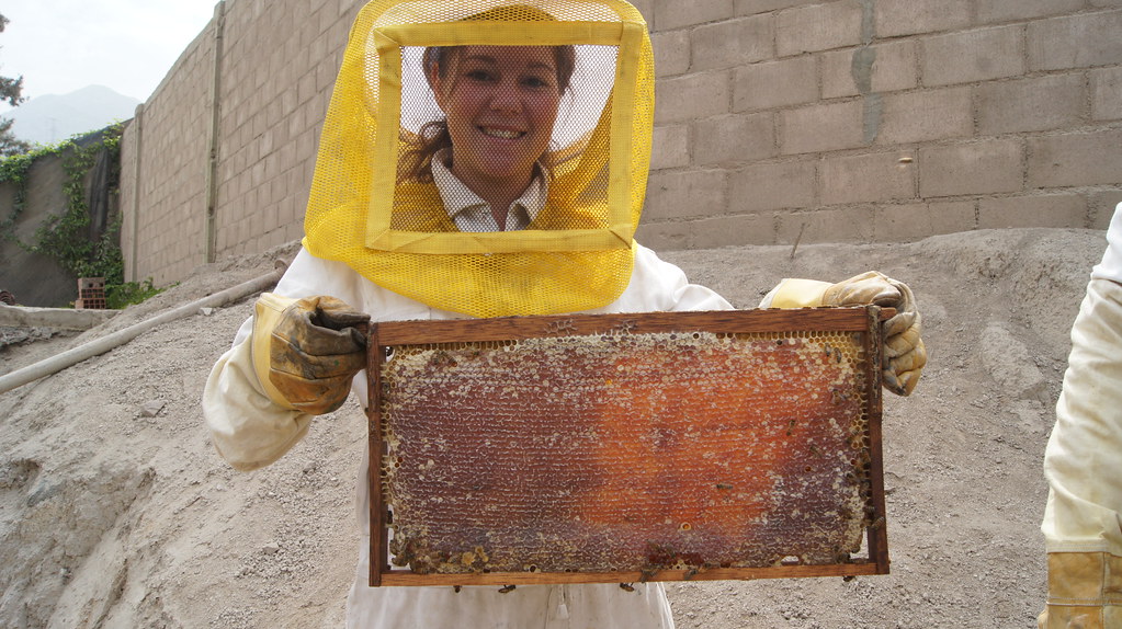 DSC07105 miranda harvey Flickr