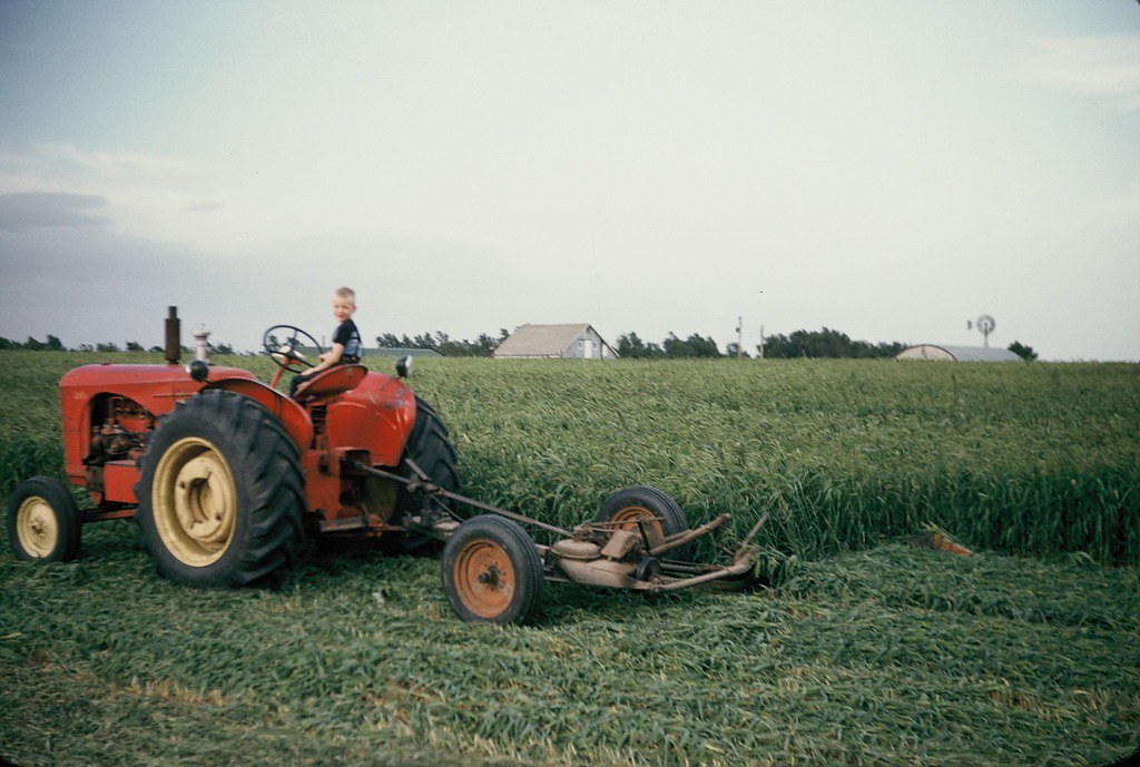 455454r11617qpr Cutting millet? for silage. "Driver" o… Flickr