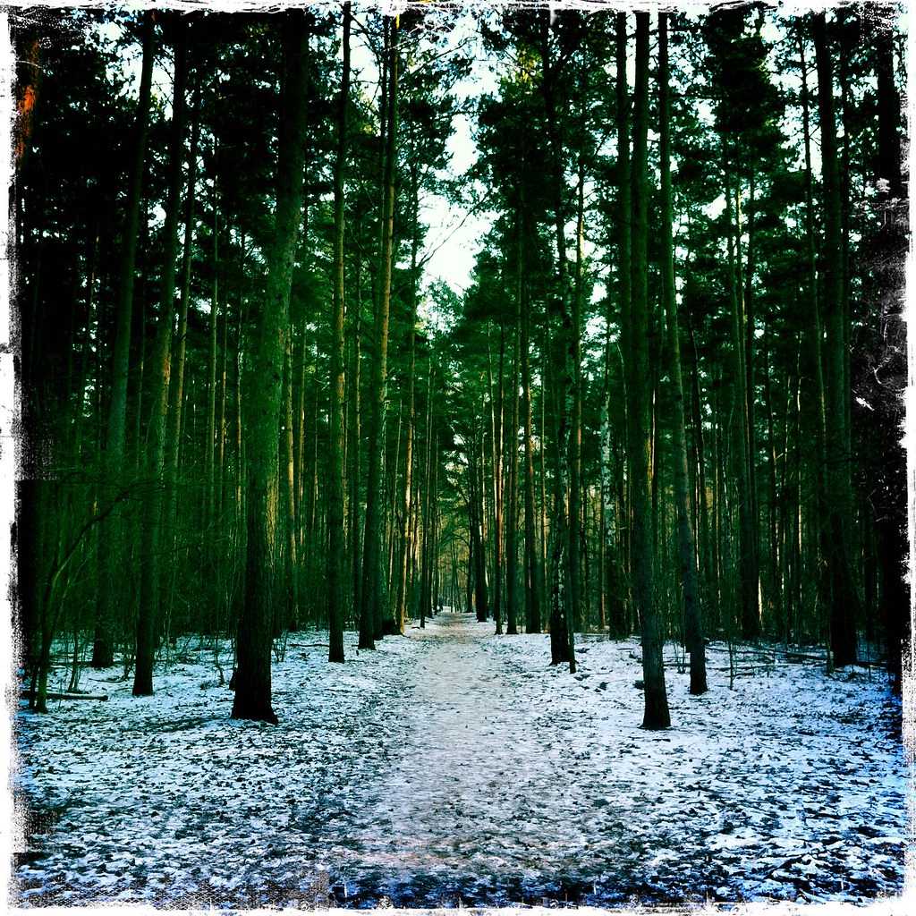 a very German wood bennyssimo Flickr