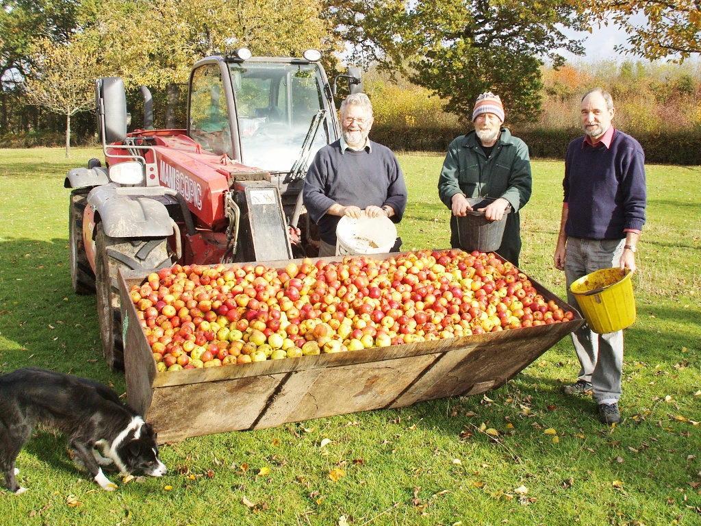 The last load of 2011 apples John Maiden Flickr