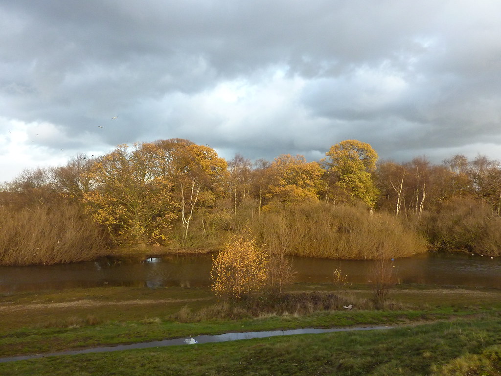 Wanstead Flats Amazing light today at Alex pond Linda Hartley Flickr