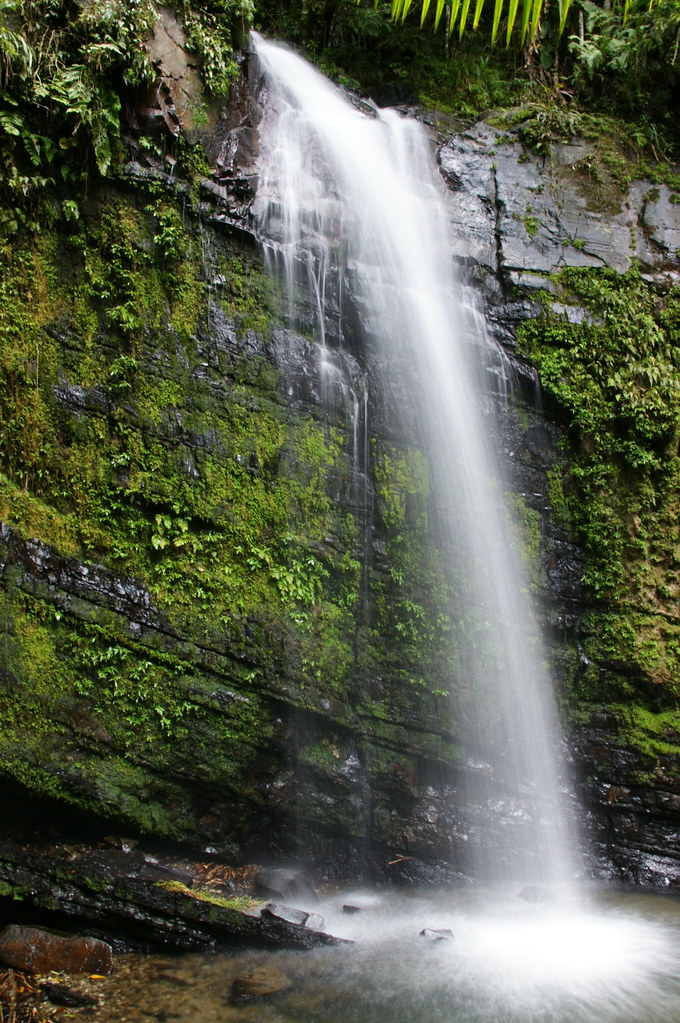 Waterfall El Yunque National Forest Manuel Montalvo Flickr