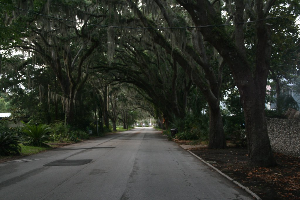 Magnolia Ave.St. Augustine, FL National Geographic called… Flickr