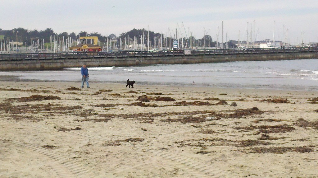 Moon Beach in Monterey queenkv Flickr