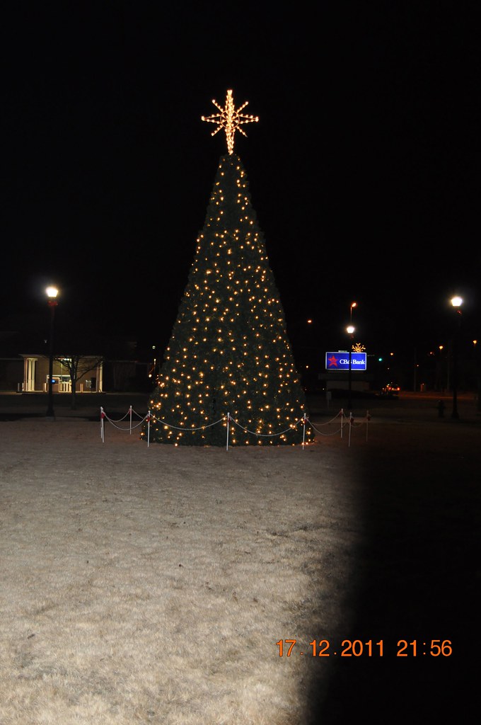Christmas Tree in Muscle Shoals Christmas Tree in Muscle S… Flickr
