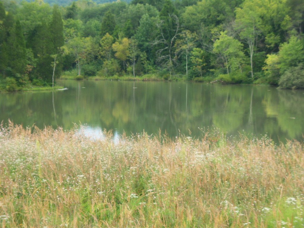 100 Melton Lake Peninsula\The Meadow Flickr