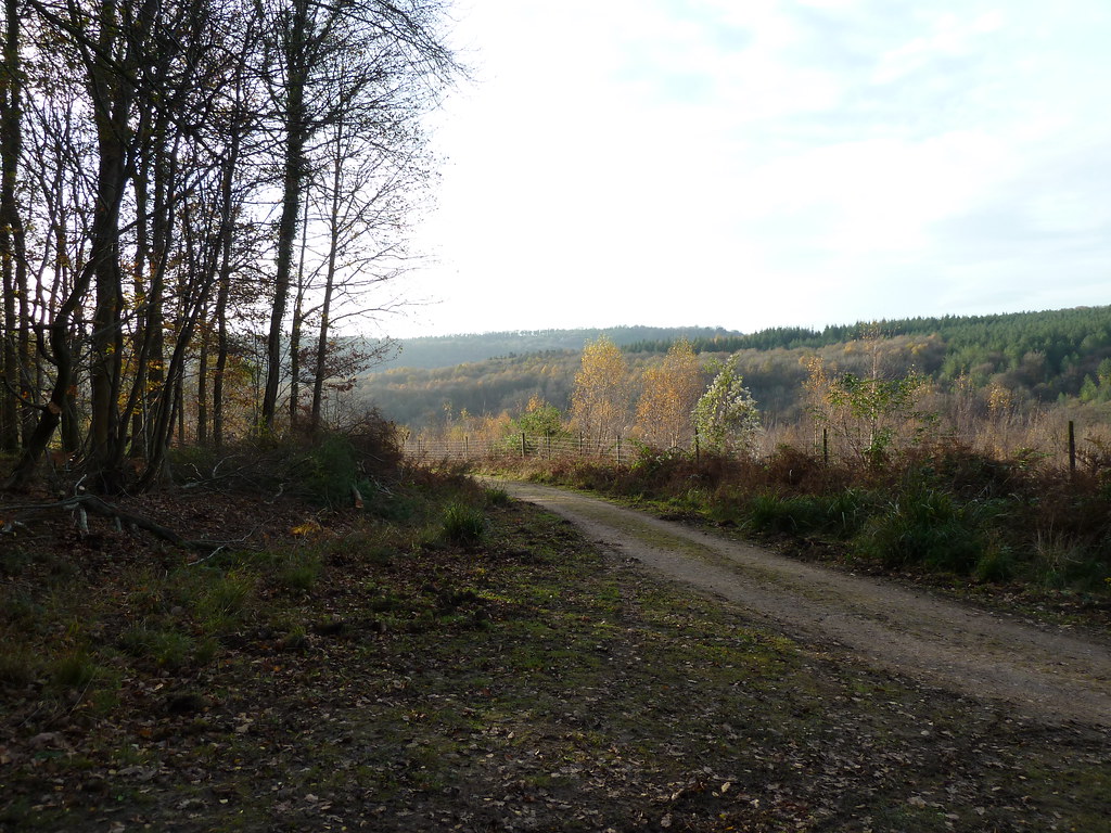 Road near Symonds Yat Yardski Flickr