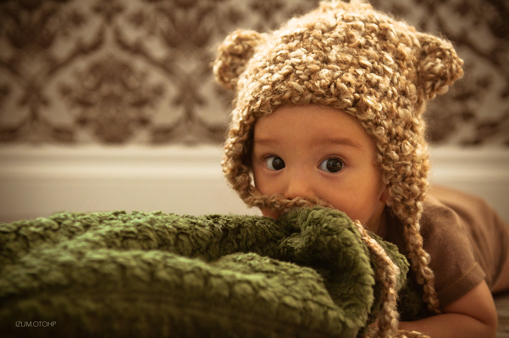 Beary Cute2 My son prefers to chew on a blanket rather tha… Flickr