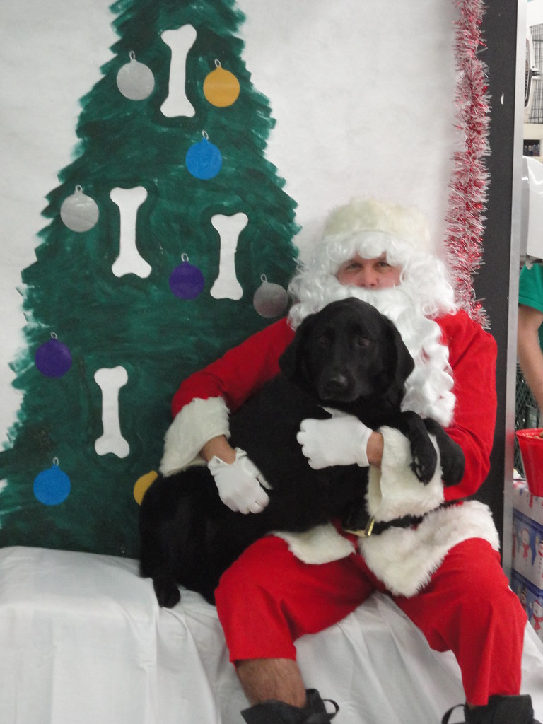 Santa With Black Dog 121711 011 Pet Supplies Plus Sheridan Drive