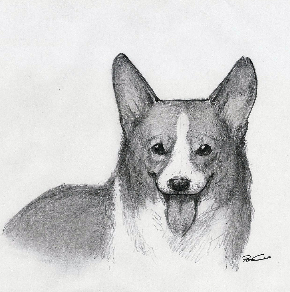 Old English Sheepdog Weight+Growth Chart 2023 How Heavy Will My Old English Sheepdog Weigh