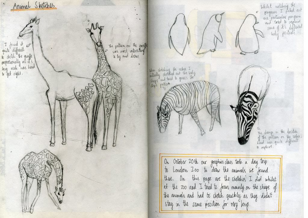 Observational Animal Drawings October 2010 Drawings of a… Flickr