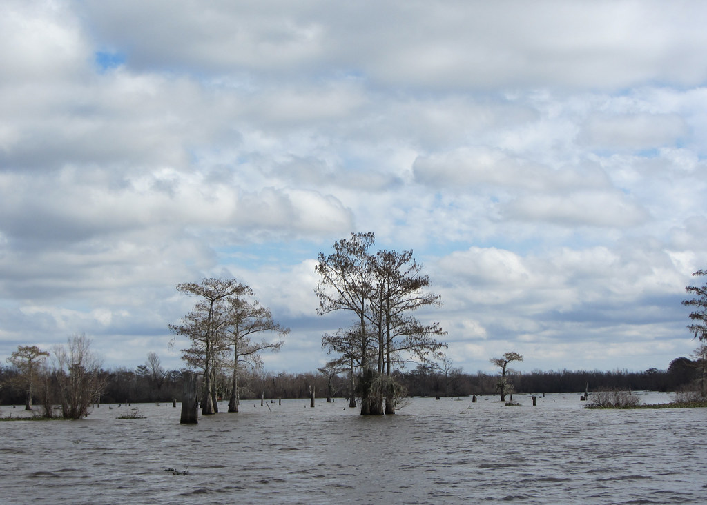 Atchafalaya Basin Atchafalaya Basin, Louisiana. NatalieMaynor Flickr