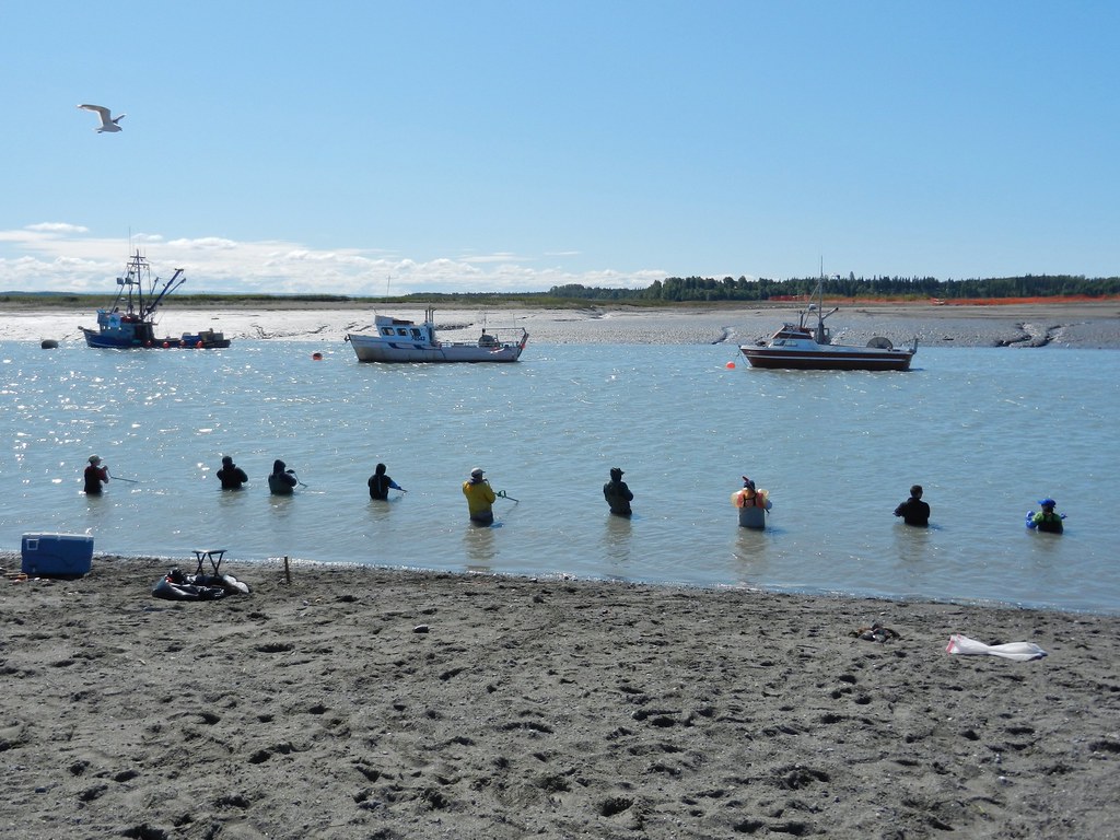 Kasilof River Looking upriver there's a row of Flickr