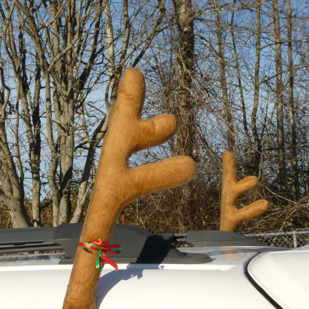 Car Antlers Tenuous link Anyone can be a reindeer. judy_and_ed