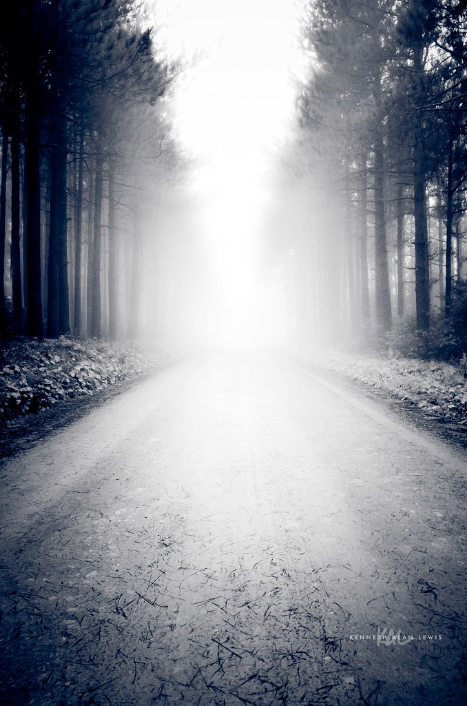 Elevation of Maysville, WV, USA Topographic Map Altitude Map